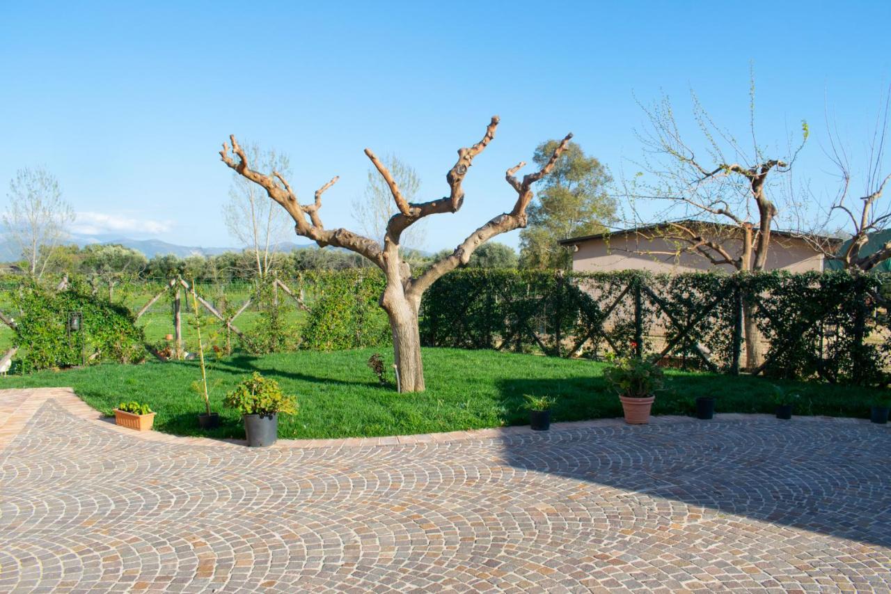 Camera Iris - B&B Antico Casale Monte San Biagio Buitenkant foto