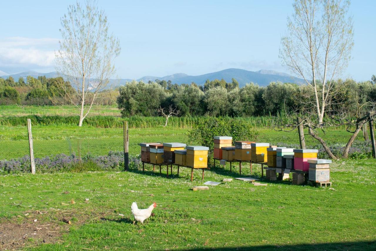 Camera Iris - B&B Antico Casale Monte San Biagio Buitenkant foto